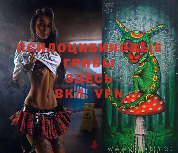 марки nbome Белокуриха