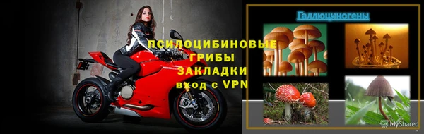 марки nbome Белокуриха
