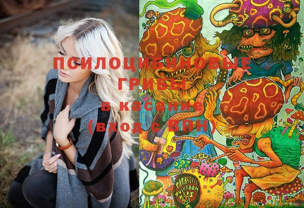 марки nbome Белокуриха